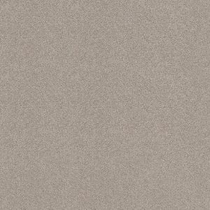 Shaw Floors - Carpet - COMFORTING I - Anonymous