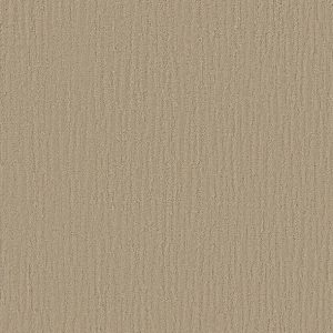 Shaw Floors - Carpet - Simply The Best Collection - Bandon Dunes - Agate
