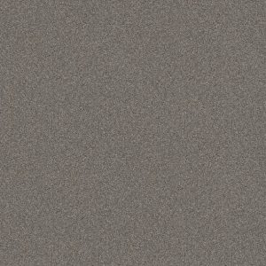 Shaw Floors - Carpet - Simply The Best  - Attainable - Arctic Shadow