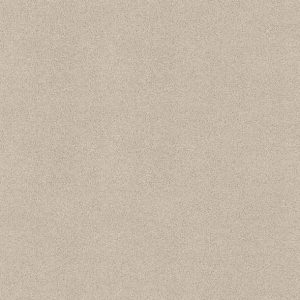 Shaw Floors - Carpet - COMFORTING I - Adobe