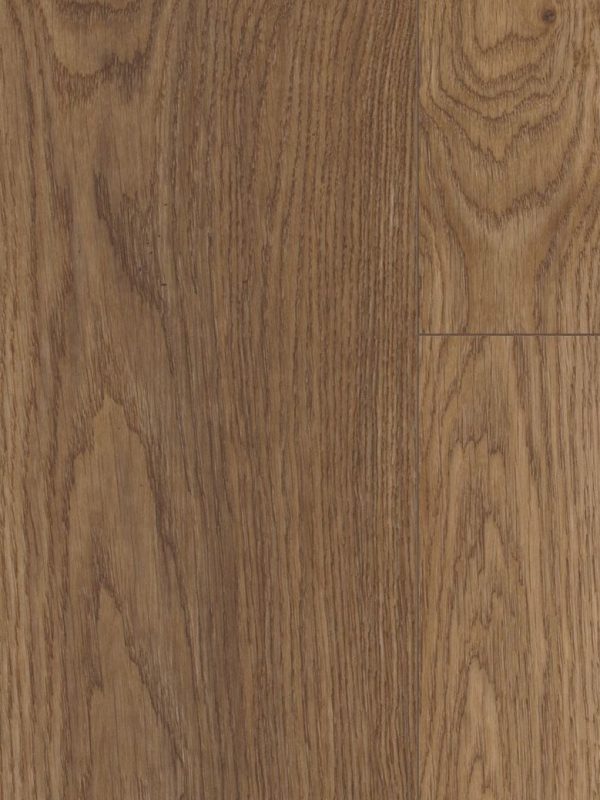 COREtec Plus XL Enhanced - Arvon Oak
