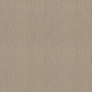 Shaw Floors - Carpet- Foundations Collection - Smart Thinking - Barista