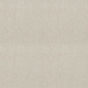 Shaw Floors - Carpet - Simply The Best  - Attainable - Blizzard