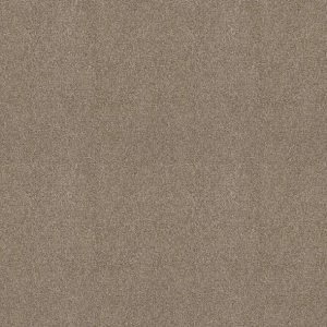 Shaw Floors - Carpet - COMFORTING II - Boardwalk