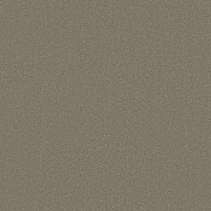 Shaw Floors - Carpet - Classics Collection  - Awaken Spirit II - 12' - Bungalow