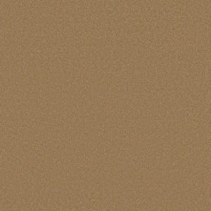 Shaw Floors - Carpet - Classics Collection  - Awaken Spirit II - 15'- Warm Brass