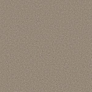 Shaw Floors - Carpet - Simply The Best  - TRUSOLUTIONS III - Beach Cabana