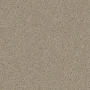 Shaw Floors - Carpet - Full Court 12' - Bare Mineral