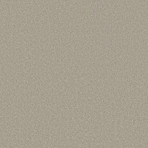 Shaw Floors - Carpet - Simply The Best  - TRUSOLUTIONS III - Bleached Oak
