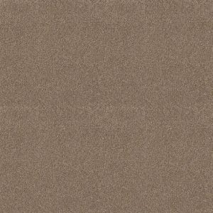 Shaw Floors - Carpet - COMFORTING I - Riverbank