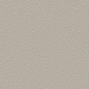 Shaw Floors - Carpet - Foundations Collection  - Alluring Canvas - Baltic Stone