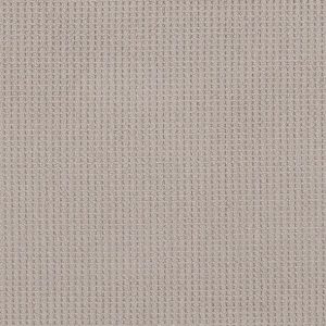 Shaw Floors - Carpet - Foundations Collection - Faint Intent - Baltic Stone