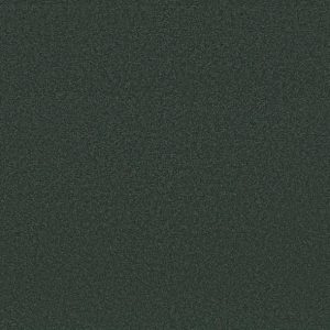 Shaw Floors - Carpet - Classics Collection  - Awaken Spirit II - 15' - Blue Spruce