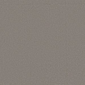 Shaw Floors - Carpet - Classics Collection  - Awaken Spirit II - 15' - Boulder Taupe