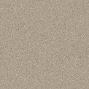 Shaw Floors - Carpet - COMFORTING II - Chamois