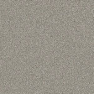 Shaw Floors - Carpet - Simply The Best  - TRUSOLUTIONS III - Concrete