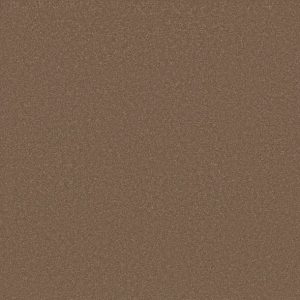 Shaw Floors - Carpet - Classics Collection  - Awaken Spirit I 12' - Copperglaze