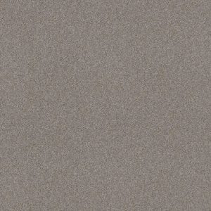 Shaw Floors - Carpet - Simply The Best  - Attainable - Clay