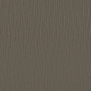 Shaw Floors - Carpet - Simply The Best Collection - Bandon Dunes - Charcoal