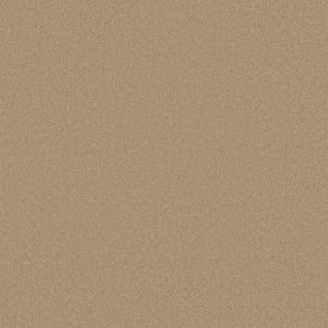 Shaw Floors - Carpet - Classics Collection  - Awaken Spirit II - 15' - Classic Buff
