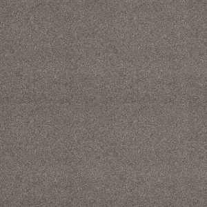 Shaw Floors - Carpet - Simply The Best  - Attainable - Cedar Ridge