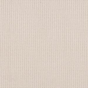 Shaw Floors - Carpet - Foundations Collection - Faint Intent - Champagne Toast