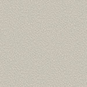 Shaw Floors - Carpet - Foundations Collection  - Alluring Canvas - Champagne Toast