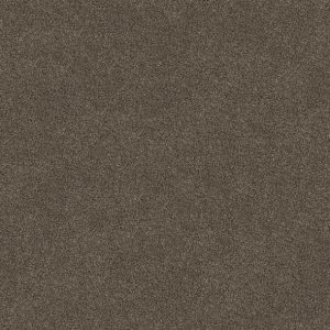Shaw Floors - Simply The Best - Shaw Floors - TruSpirit II - Chestnut