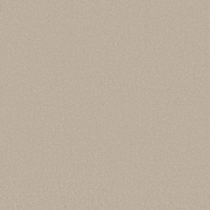 Shaw Floors - Carpet - Classics Collection  - Awaken Spirit II - 12' - Cloud