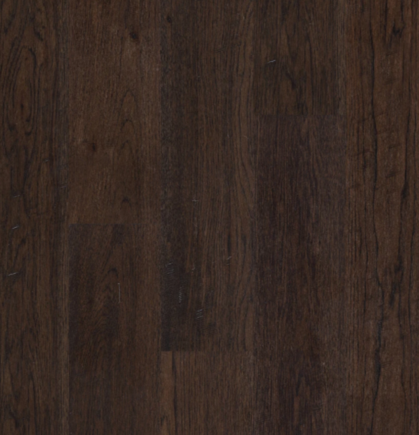 BIYORK - Nouveau 6 Collection - Coffee