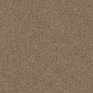 Shaw Floors - Carpet - Simply The Best  - Attainable - Cork