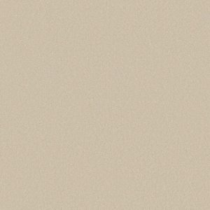 Shaw Floors - Carpet - Classics Collection  - Awaken Spirit II - 15' - Cottage