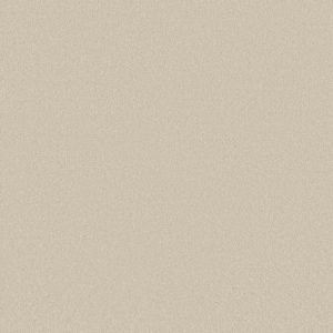 Shaw Floors - Carpet - Classics Collection  - Awaken Spirit I 12' - Cream