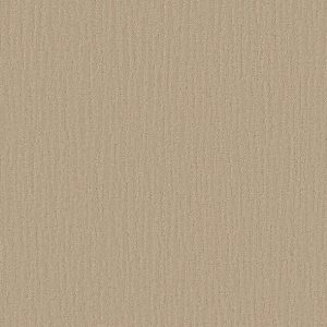 Shaw Floors - Carpet - Simply The Best Collection - Bandon Dunes - Dunes
