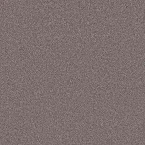 Shaw Floors - Carpet- Foundations Collection - HARMONIOUS II - Deep Connection