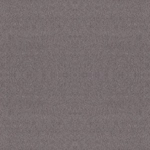Shaw Floors - Carpet - Foundations Collection  - Alluring Canvas - Deep Connection