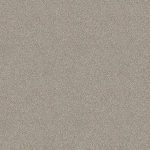 Shaw Floors - Carpet - Simply The Best  - Attainable - Desert Light