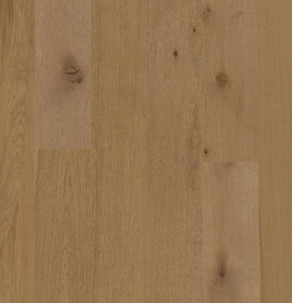 BIYORK - Nouveau 6 Collection - Desert Ark