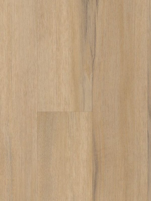 COREtec - Plus 5" - Dodwell Oak