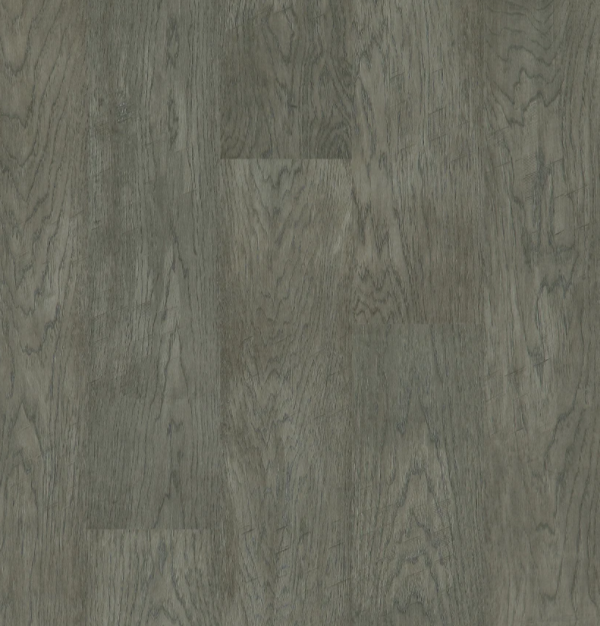 BIYORK - Nouveau 6 Collection - Euro Grey