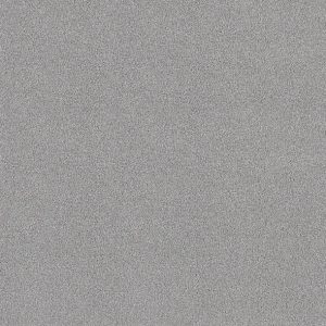 Shaw Floors - Carpet - COMFORTING II - Foil