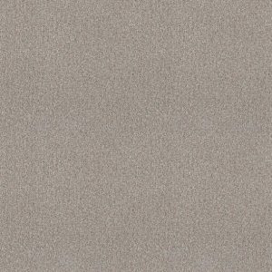 Shaw Floors - Carpet - COMFORTING II - French Buff