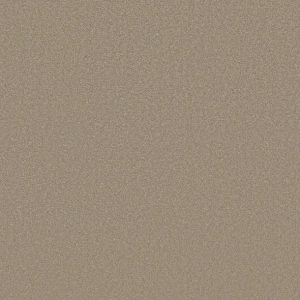 Shaw Floors - Carpet - Classics Collection  - Awaken Spirit II - 12' - Fresco