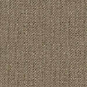 Shaw Floors - Carpet- Foundations Collection - Grounded
