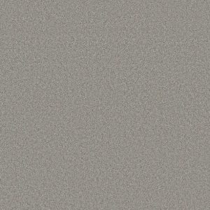 Shaw Floors - Carpet- Foundations Collection - HARMONIOUS II - Grey Fox