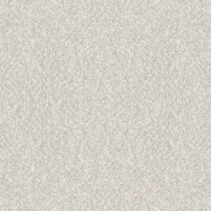 Shaw Floors - Carpet - Foundations Collection  - Alluring Canvas - Gallery Opening