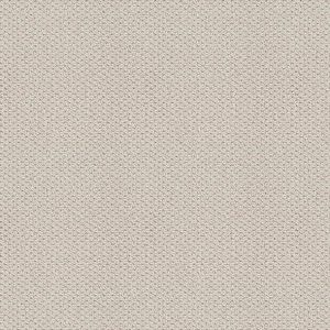 Shaw Floors - Carpet - Foundations Collection - Faint Intent - Gallery Opening