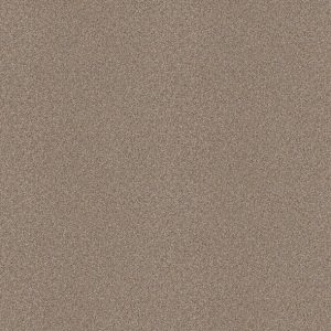 Shaw Floors - Carpet - Simply The Best  - Attainable - Grecian Tan