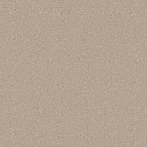 Shaw Floors - Carpet- Foundations Collection - HARMONIOUS II - Heirloom