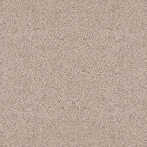 Shaw Floors - Carpet - Foundations Collection  - Alluring Canvas - Heirloom